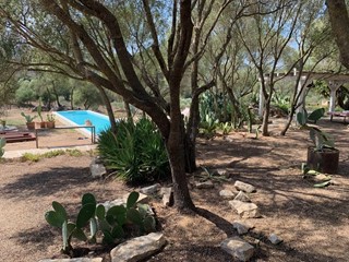 Villa in Vendita a Olbia, 1'080'000&euro;, 236 m²