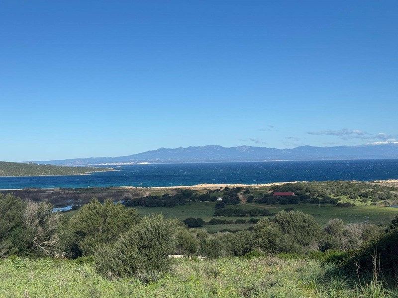 Terreno edificabile in Vendita a Palau, 2'400'000€, 5000 m²