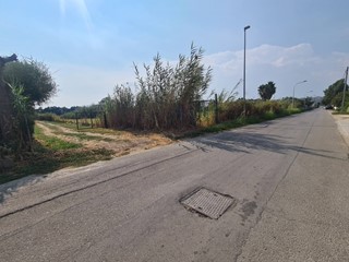 Terreno agricolo in Vendita a Sellia Marina, 99'000€, 14000 m²
