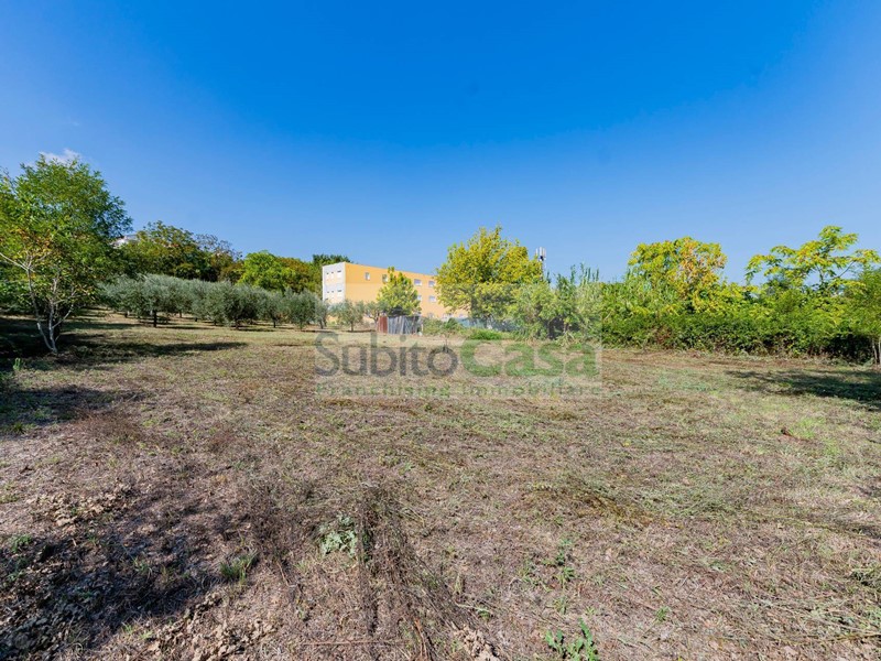Terreno agricolo in Vendita a Cepagatti, 18'000€, 2000 m²