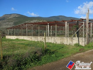 Terreno agricolo in Vendita a Monte San Biagio, 160'000&euro;, 6910 m²