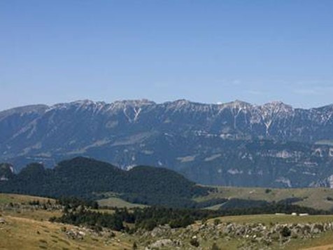 Attività commerciale in Vendita a Bosco Chiesanuova, 398'000€, 300 m²