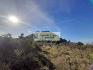 Rustico in Vendita a Dolceacqua, 113'000€, 24873 m²