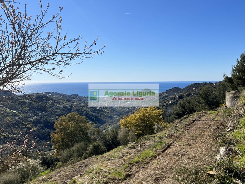 Terreno agricolo in Vendita a Vallebona, 266'000€, 13000 m²
