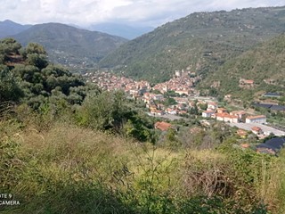 Terreno agricolo in Vendita a Dolceacqua, 35'000€, 5000 m²