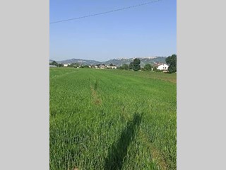 Terreno edificabile in Vendita a Cepagatti, 65'000€, 6000 m²