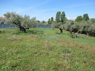 Terreno edificabile in Vendita a Spoltore, 150'000€, 13000 m²