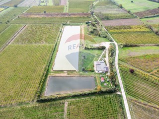 Immobile commerciale in Vendita a Casalbordino, 690'000€, 23000 m²