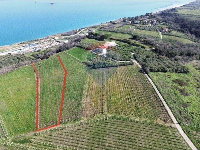 Terreno agricolo in Vendita a Torino di Sangro, 32'000€, 5000 m²