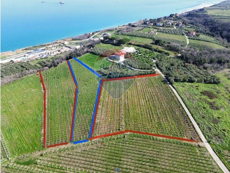 Terreno agricolo in Vendita a Torino di Sangro, 32'000€, 5325 m²
