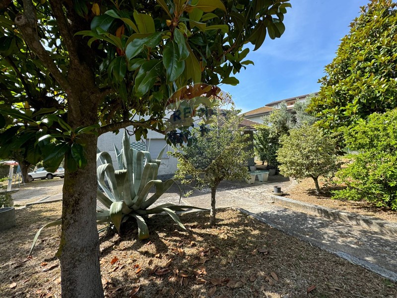 Casa Indipendente in Vendita a Frisa, 150'000€, 302 m², con Box