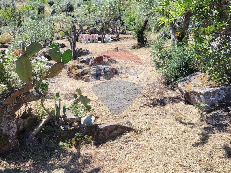 Terreno edificabile in Vendita a Monreale, 35'000€, 3730 m²