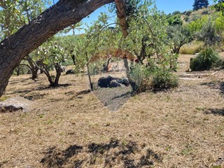 Terreno edificabile in Vendita a Monreale, 35'000€, 3730 m²