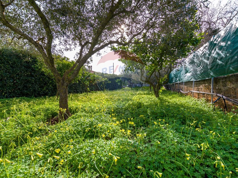 Terreno agricolo in Vendita a Valderice, 29'000&euro;, 645 m²