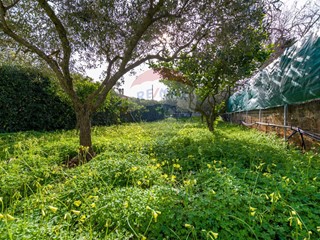 Terreno agricolo in Vendita a Valderice, 29'000&euro;, 645 m²