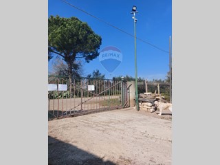 Terreno agricolo in Vendita a Bernalda, 315'000€, 49000 m²