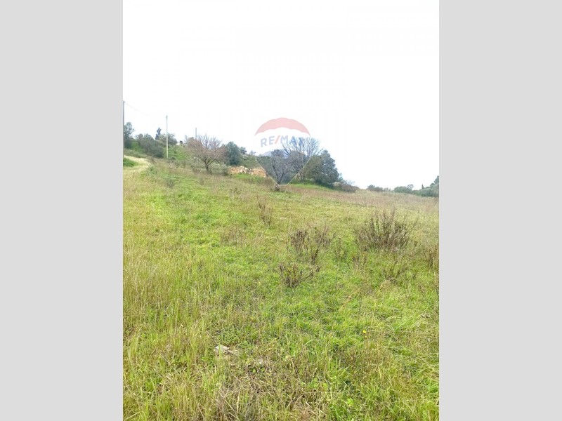 Terreno agricolo in Vendita a Caltagirone, 20'000€, 8140 m²