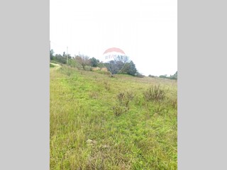 Terreno agricolo in Vendita a Caltagirone, 20'000€, 8140 m²