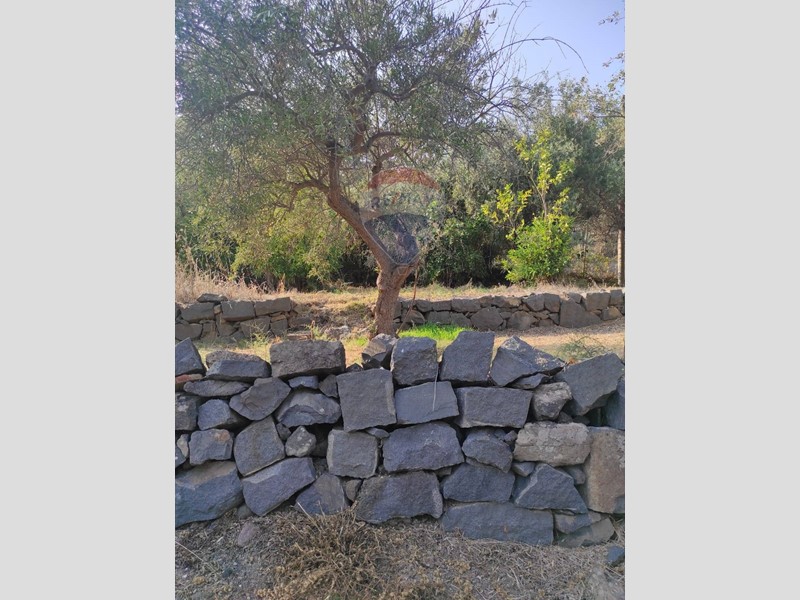 Terreno agricolo in Vendita a Aci Castello, 150'000€, 14175 m²