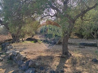 Terreno agricolo in Vendita a Aci Castello, 150'000€, 14175 m²