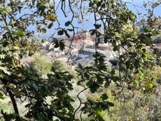 Terreno edificabile in Vendita a Piedimonte Etneo, 29'000€, 2000 m²