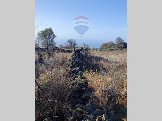 Terreno agricolo in Vendita a Santa Maria di Licodia, 11'000€, 8829 m²