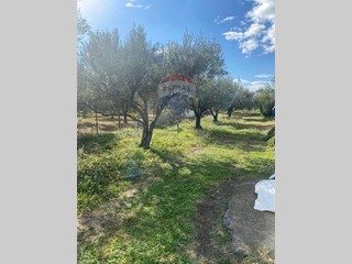 Terreno agricolo in Vendita a Belpasso, 30'000€, 2200 m²