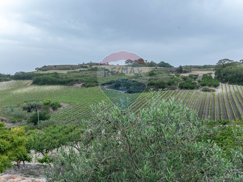 Terreno agricolo in Vendita a Caltagirone, 550'000€, 210000 m²