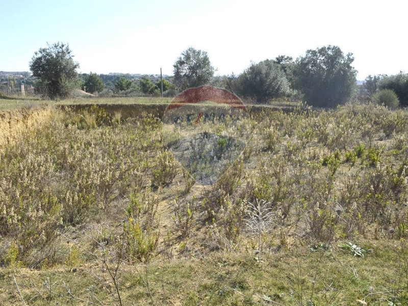 Terreno agricolo in Vendita a Grammichele, 82'500€, 6000 m²