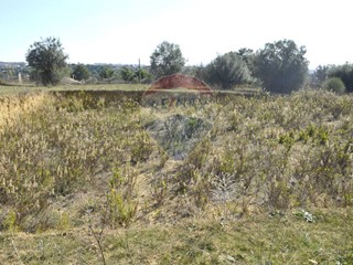 Terreno agricolo in Vendita a Grammichele, 82'500€, 6000 m²