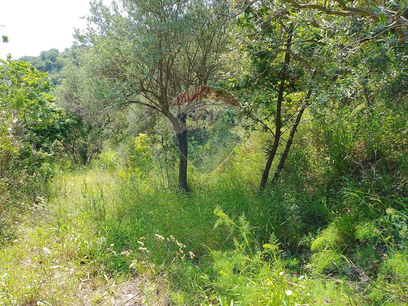 Terreno agricolo in Vendita a Castiglione di Sicilia, 80'000€, 40000 m²
