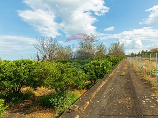 Terreno agricolo in Vendita a Santa Venerina, 149'000€, 14000 m²