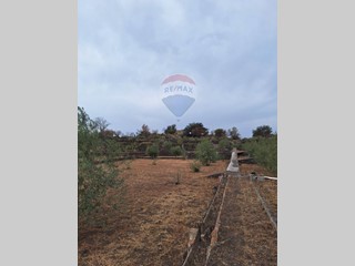 Terreno agricolo in Vendita a Catania, 55'000€, 4080 m²