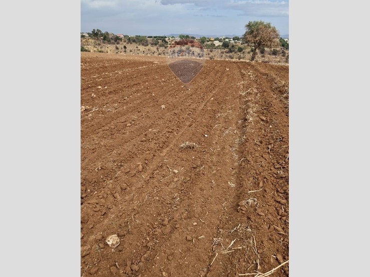 Terreno edificabile in Vendita a Caltagirone, 45'000€, 15000 m²