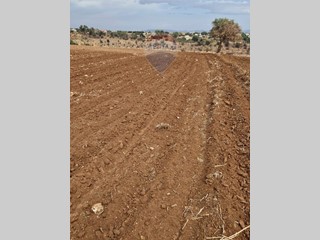 Terreno edificabile in Vendita a Caltagirone, 45'000€, 15000 m²