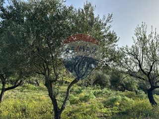 Terreno agricolo in Vendita a Randazzo, 45'000€, 6170 m²