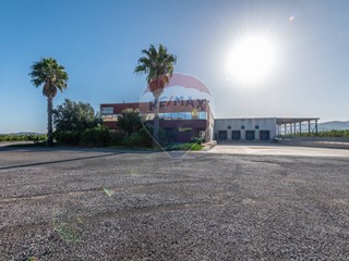 Capannone in Vendita a Mineo, 2'850'000€, 7000 m²