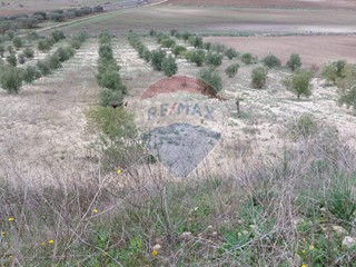 Terreno agricolo in Vendita a Licodia Eubea, 12'000€, 12000 m²