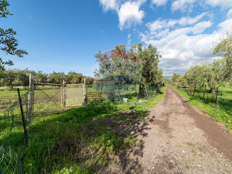 Terreno agricolo in Vendita a Motta Sant'Anastasia, 30'000€, 2000 m²