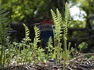 Terreno agricolo in Vendita a Santa Venerina, 119'000€, 18656 m²