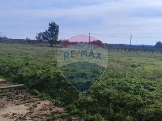 Terreno agricolo in Vendita a Ramacca, 195'000€, 70000 m²
