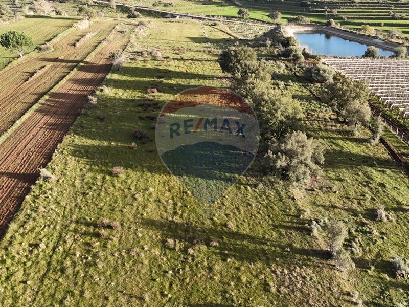 Terreno agricolo in Vendita a Caltagirone, 17'500&euro;, 13250 m²