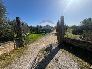 Terreno agricolo in Vendita a Carlentini, 9'900€, 4700 m²