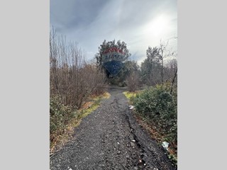 Terreno agricolo in Vendita a Pedara, 26'000€, 15700 m²