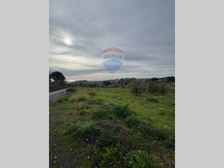 Terreno agricolo in Vendita a Trecastagni, 55'000€, 4700 m²