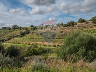 Terreno agricolo in Vendita a Caltagirone, 103'000€, 84000 m²