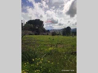 Terreno edificabile in Vendita a Noto, 68'000€, 1600 m²