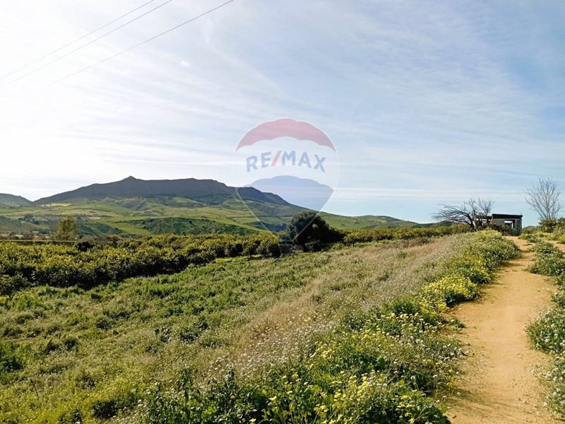 Terreno agricolo in Vendita a Regalbuto, 35'000€, 12350 m²