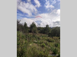 Terreno edificabile in Vendita a Noto, 62'000€, 1560 m²