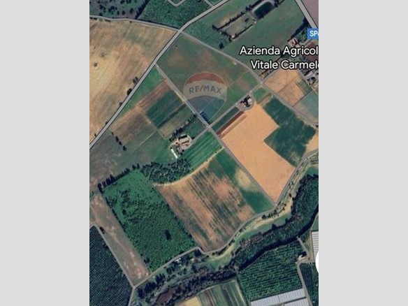 Terreno agricolo in Vendita a Caltagirone, 110'000€, 74000 m²